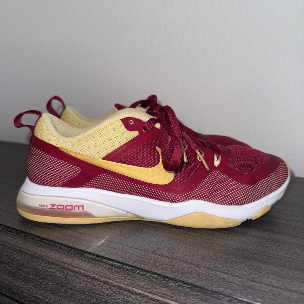 Nike Air Zoom Fitness Florida State Edition (2017)